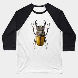 Coleoptera Baseball T-Shirt